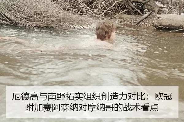 e-de-gao-yu-nan-ye-tuo-shi-zu-zhi-chuang-zao-li-dui-bi-ou-guan-fu-jia-sai-a-sen-na-dui-mo-na-ge-de-zhan-shu-kan-dian-3-392.jpg